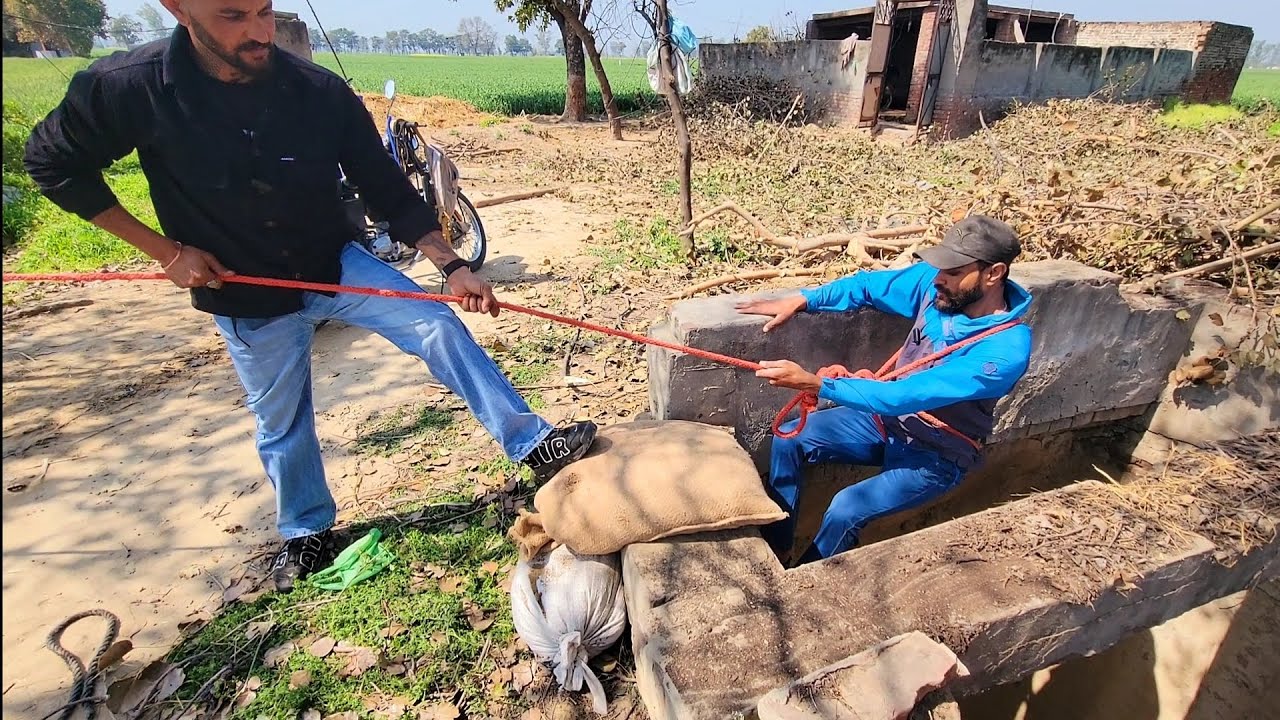 dog-rescue-team-9-70-rj