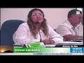Sessão Ordinária - Câmara Municipal de Nanuque