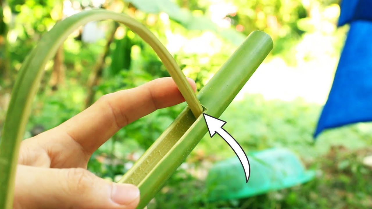 5 Trò Chơi Tự Làm Ở Nông Thôn Xưa - youtube