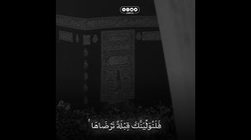 تلاوة جميلة ❤️‍🔥 من سورة البقرة للقارئ نايف الجاسر