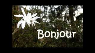 Mes messages de Bonjour en photos au fil des Saisons 2012 -1- Bom dia- Dobro jutro.wmv Mes messages de Bonjour en photos au fil des Saisons 2012 -1- Bom dia- Dobro jutro.wmv
