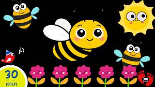 Baby Sensory Video | High Contrast Visual Stimulation | Colorful Spring Adventure