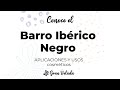 ¿Conoces las propiedades del Barro Negro..?