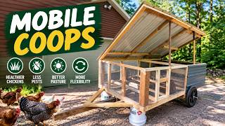 Watch Before Building or Buying a Chicken Coop