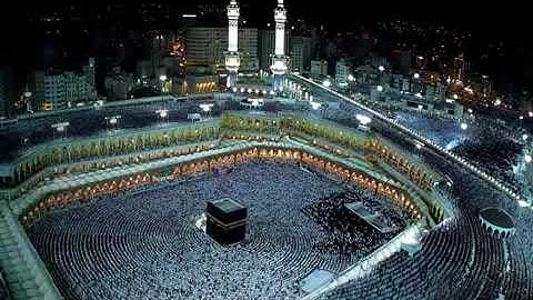 القرآن الكريم بالصفحات الصفحة 401 ماهر المعيقلي