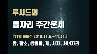타로아님! 주간 별자리운세 2018.11.05.~11.11. (11월 둘째주 양자리, 황소자리, 쌍둥이자리,…
