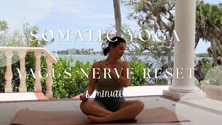 6 Min Somatic Yoga &amp; Vagus Nerve Reset