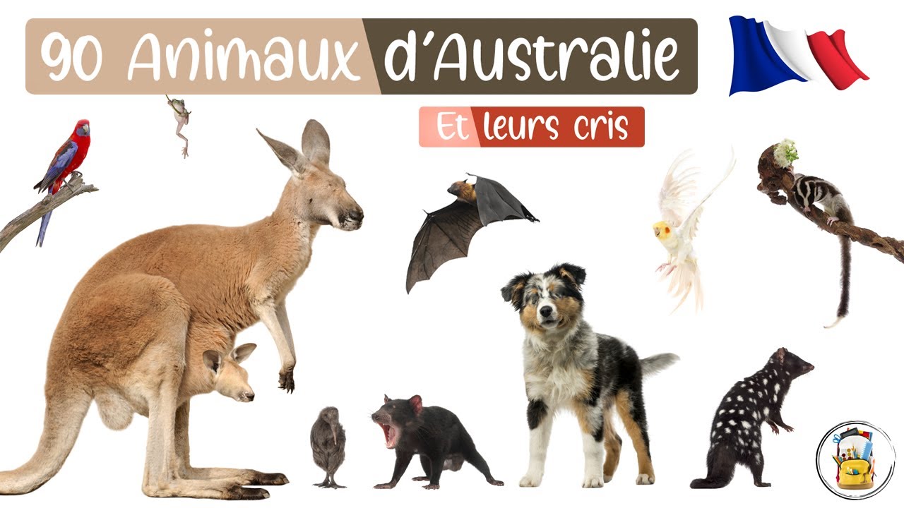 90 Animaux D'Australie En Français - Les Cris Des Animaux Et Les Noms Des Animaux Pour Les Enfants