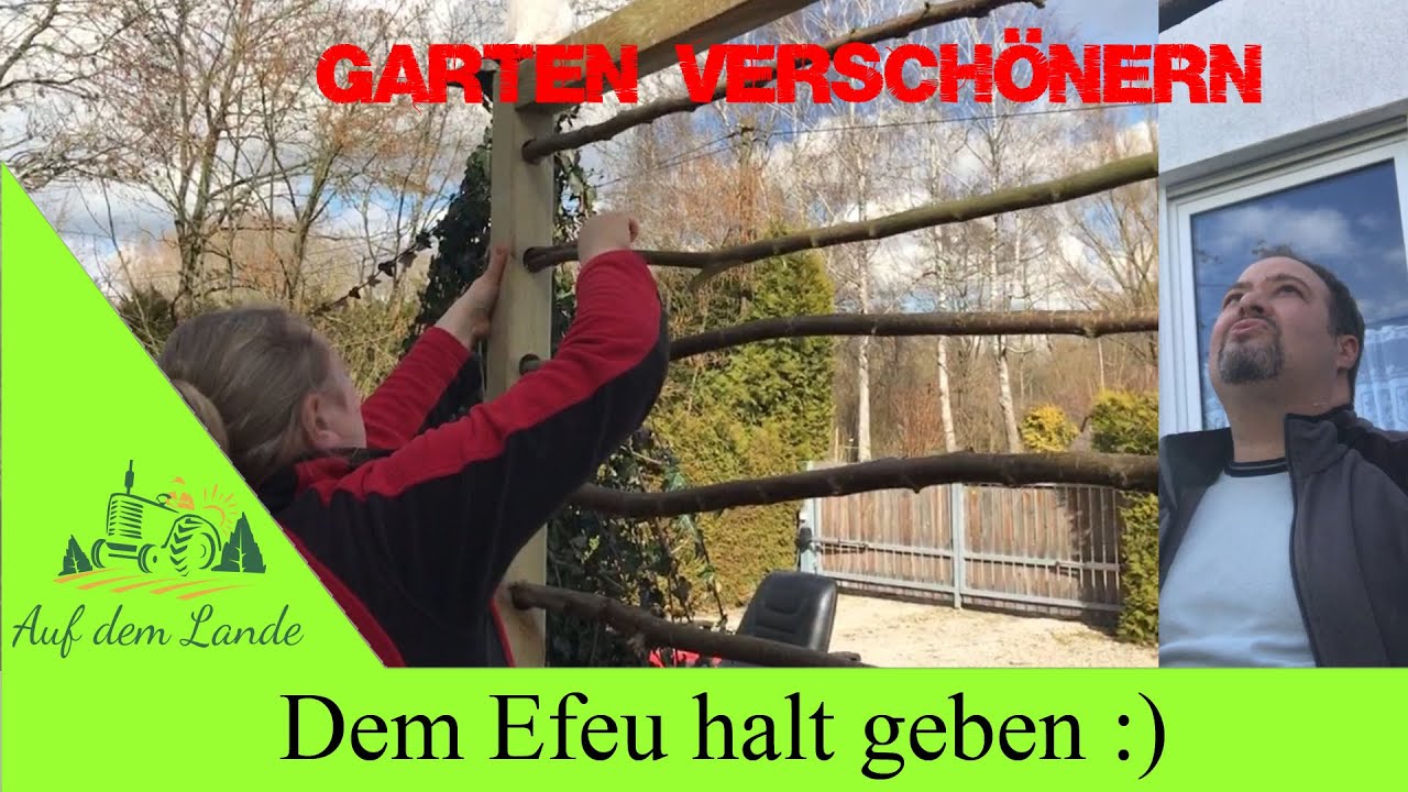 Efeu Rankhilfe selber bauen - Garten schner machen  Ziegen Wechselweide