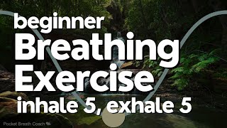 Breathing Exercise for Beginners | 5-5 Pattern for Calm and Focus