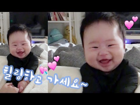 힐링 제대로 💗 뚜봉이 웃는 모습 모음 (심쿵주의)