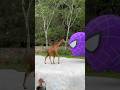 #shorts #funny #memes #viral #tiktok #spiderman