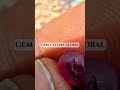 Natural Ruby Rough – 1.60 ct ❤️💎