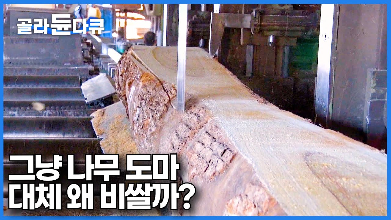 책 한 권 두께 평범한 나무 도마는 어떻게 만들까｜비싼 원목 도마 만드는 신기한 과정｜극한직업｜