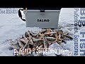 Зимняя рыбалка 2018-2019! Ловим в запрещенных местах! Опасная рыбалка! Мормышка-Жерлицы!!!