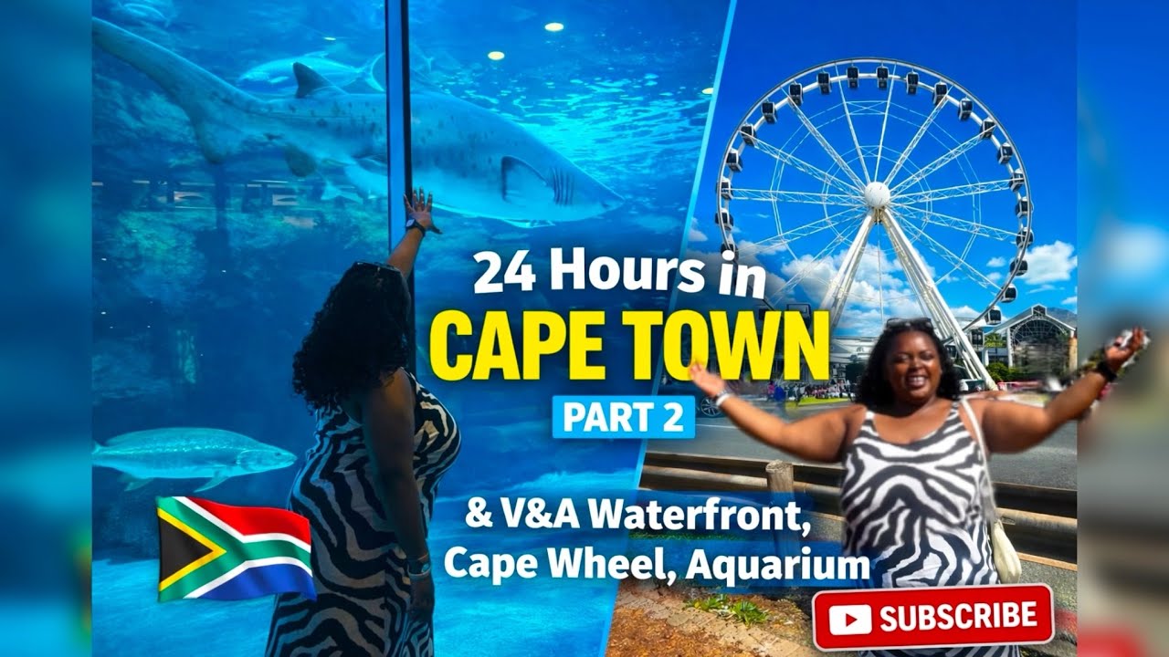 24 Hours in Cape Town Part 2 | V&A Waterfront, Cape Wheel & Aquarium