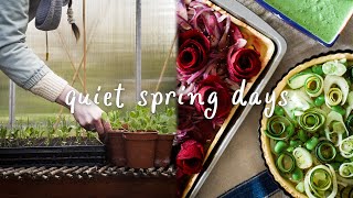 Quiet Life in Spring | Flower Tarts | Potting Tomatoes | Slow Living