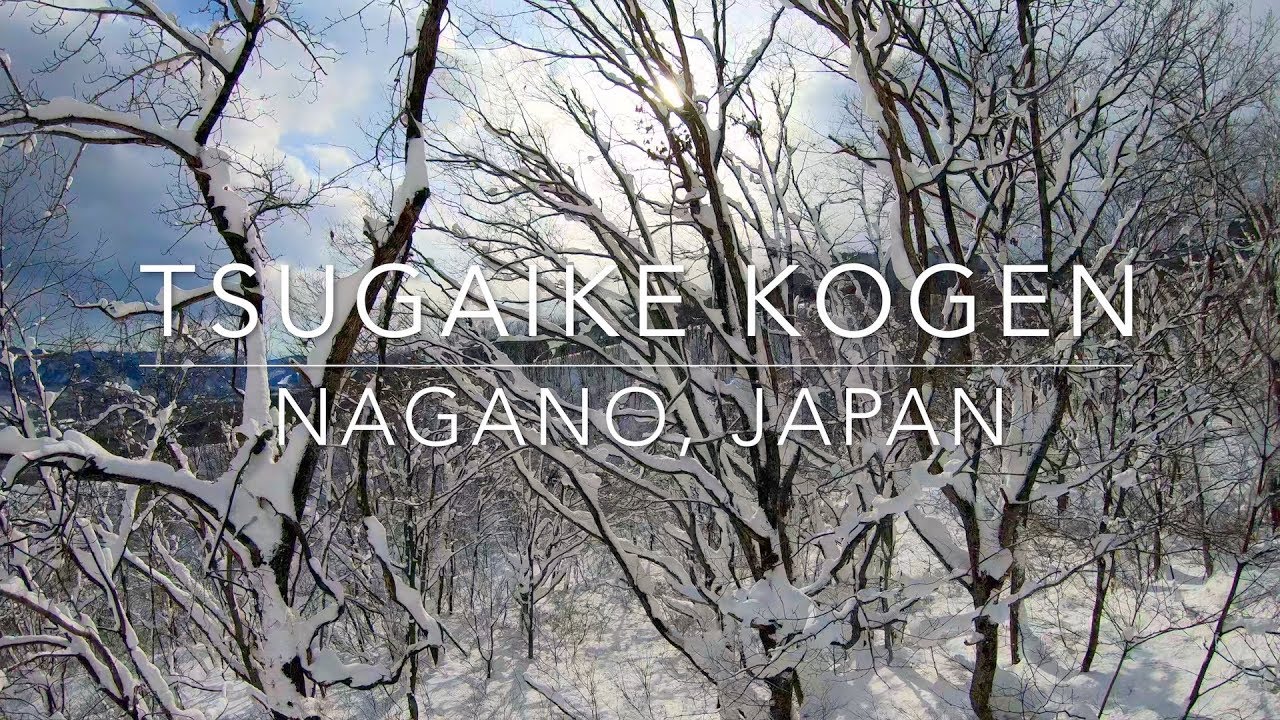 JAPAN SKI: Tsugaike Kogen 4 Beginner 栂池高原 初級者