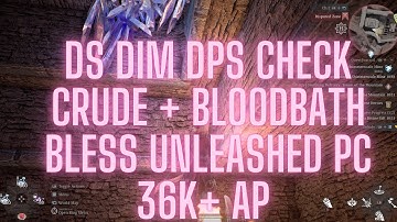 DS DIM DPS CHECK | Crude + Bloodbath | Bless Unleashed PC - 36K+ AP