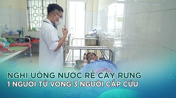 Nghi uống nước Rễ Cây Rừng 1 người tử vong 3 người cấp cứu|VTC14 GREEN