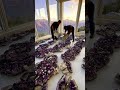 Sealing geodes in epoxy floor-resinart video
