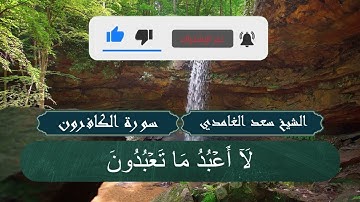 الشيخ سعد الغامدي (109 - سورة الكافرون)