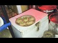 Raat ko firse gol gappe khane poch gye 😅