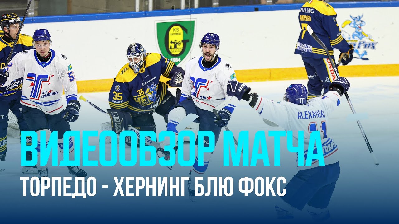 «Хернинг Блю Фокс» 2:6 «Торпедо» | Континентальный Кубок 15.01.2026 | Все голы «Торпедо»