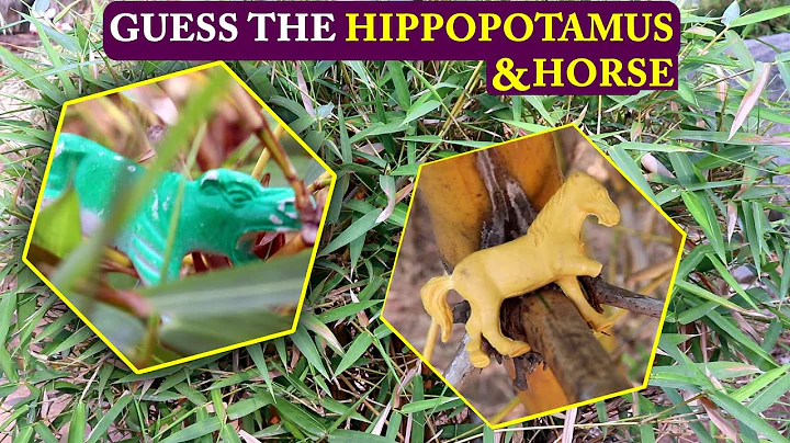 Nobody Can Find All The Hidden Animals Optical Illusions Brain Teasers Guess HIPPOPOTAMUS & HORSE Br