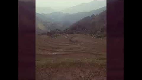 Ruộng bậc thang quê tôi (quê hương)