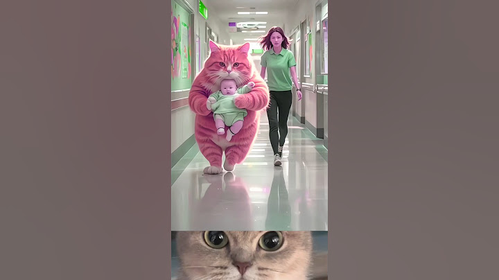 Billi Ne Chori Kiya Baccha 🥺 #cat video #cute cats #funnyvideo #viralvideo