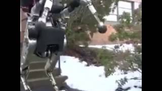 Jumping robot | Boston Dynamics