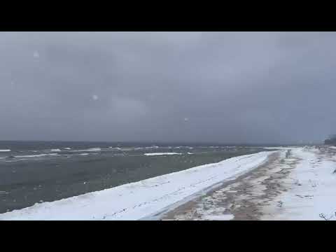 Winter by the sea