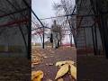 Утренняя разминка