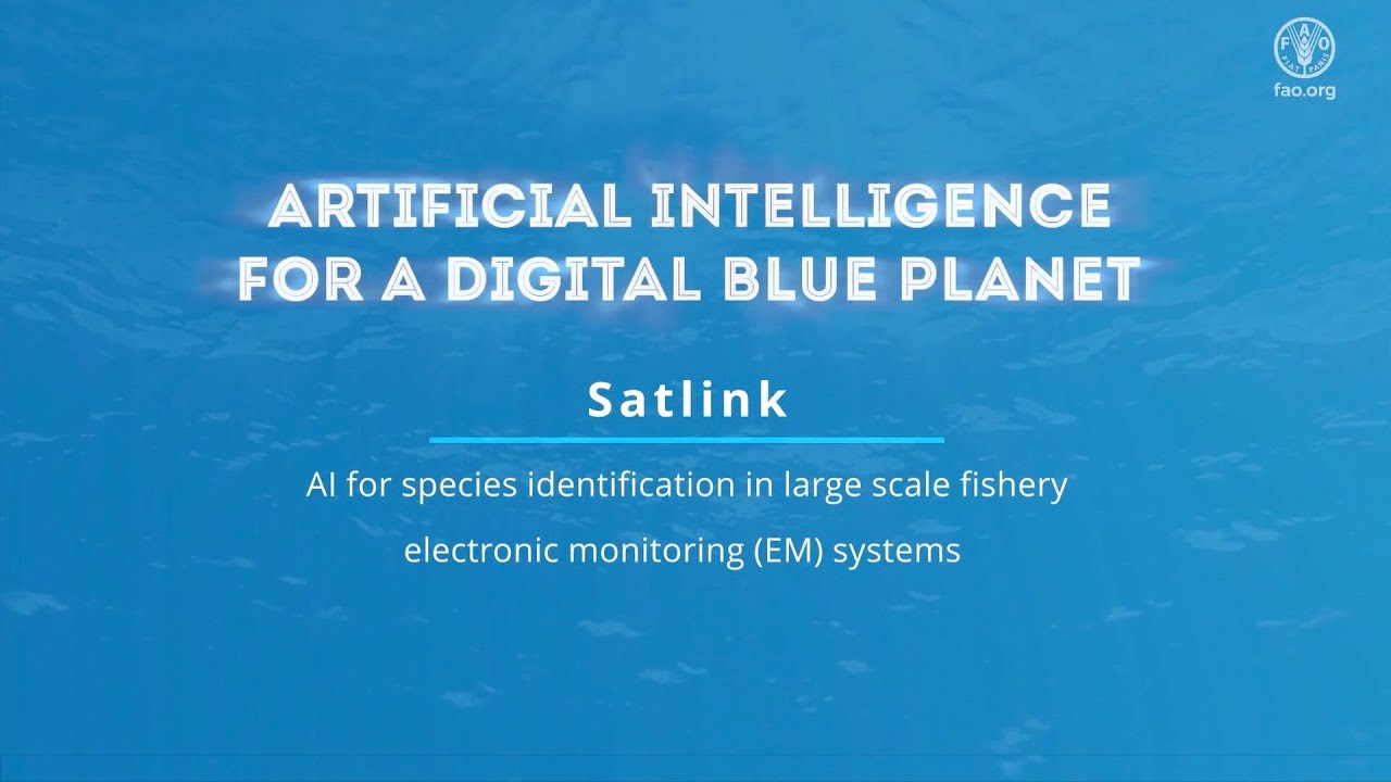 AI for species identification in large scale fishery electronic monitoring (EM) systems