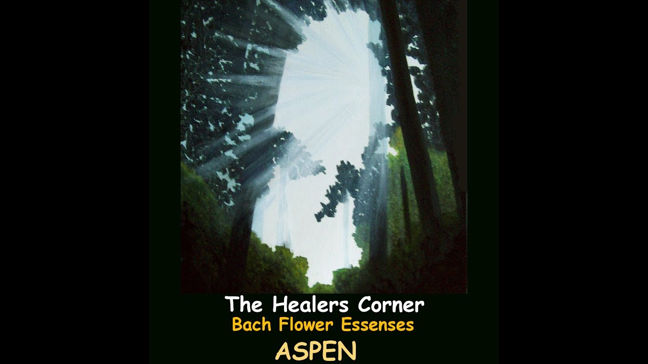 BACH FLOWER ESSENCES   Aspen