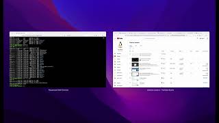 Basic CLI Usage with pwd command screenshot 4