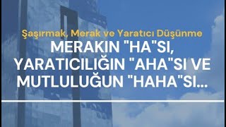 Şaşırmak, Merak Ve Yaratıcı Düşünme