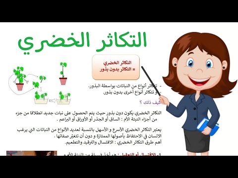 شرح درس التكاثر عن النباتات التكاثر الخضري لتلاميذ السنة الرابعة درس إيقاظ علمي سنة رابعة