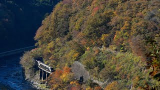 JR東海HC85系　特急ひだ1号.6号高山行き.名古屋行き　高山本線飛騨小坂〜渚　警笛吹鳴あり