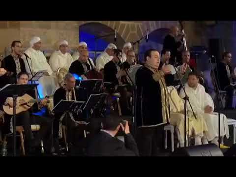 الفنان بدر رامي امداح 