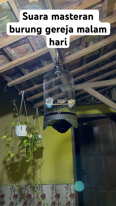Suara burung gereja