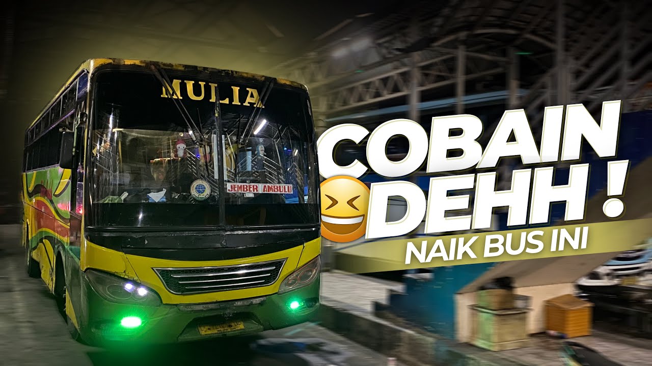 KENAPA BANYAK YANG TAKUT NAIK BUS BUMEL..⁉️😂Trip Naik Bus Sabar Indah Surabaya - Probolinggo