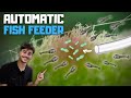 I Made a Machine That Feeds My Fish For Me! Baby Fish Feeder!