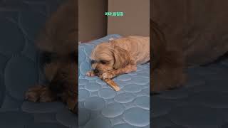 먹공주 삼총사!!~~^^♡가족심리상담 화곡 우장산♡