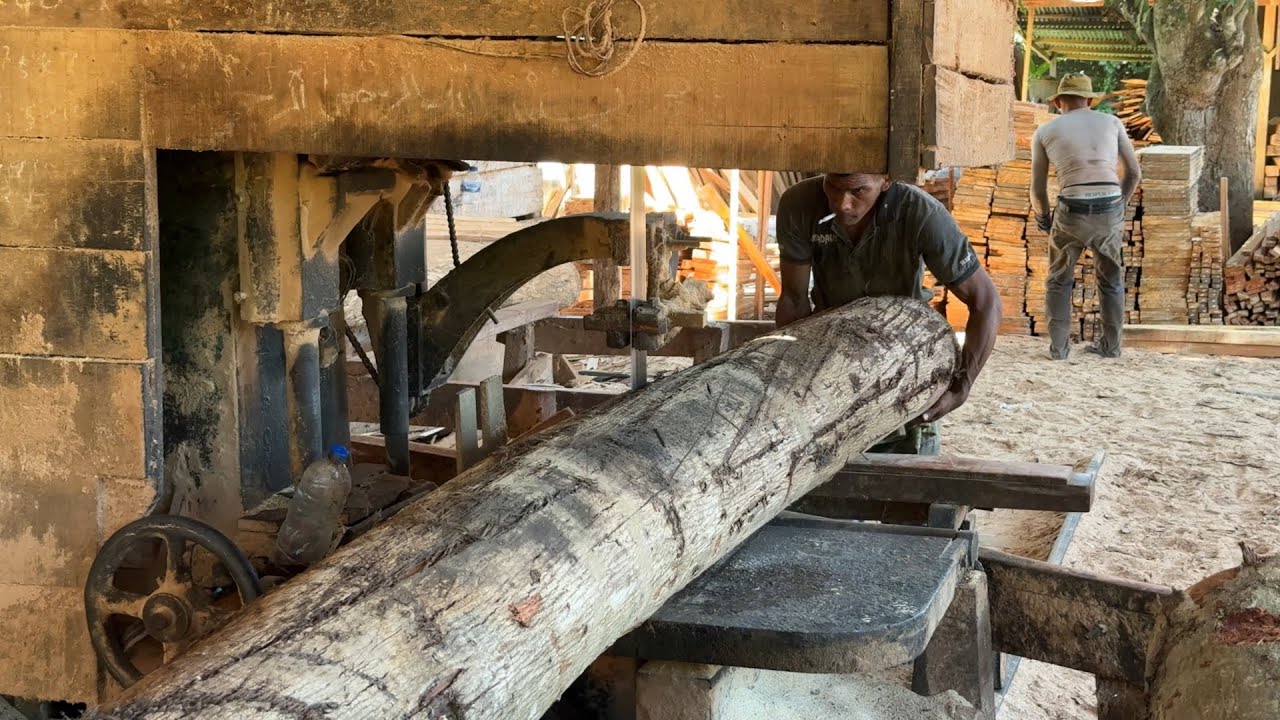 The Fastest Wood Sawmill Machine Working in an Amazing Modern Factory ...