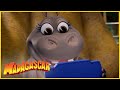 Los juegos son divertidos | DreamWorks Madagascar en Español Latino