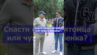 Кого спасут люди питомца или человека? #опрос