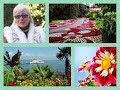 Туризм и путешествия.Остров цветов Майнау в Германии - история, красота, цветы!