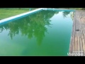 Tutorial como limpiar piscina con agua verde